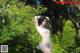 A woman in a white dress posing in the woods.